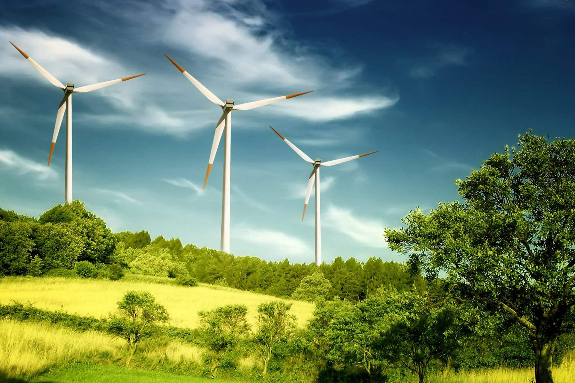 Conferencia para preescolar y primaria